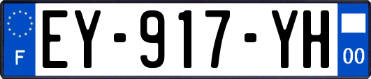EY-917-YH