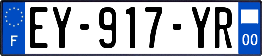 EY-917-YR