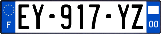 EY-917-YZ