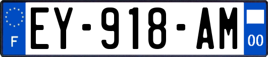 EY-918-AM