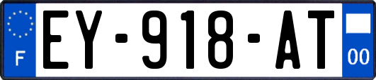 EY-918-AT