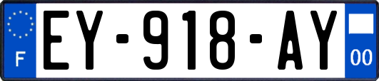 EY-918-AY