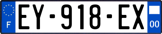 EY-918-EX