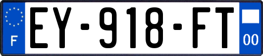 EY-918-FT