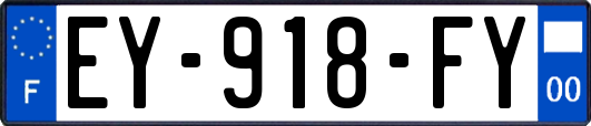 EY-918-FY