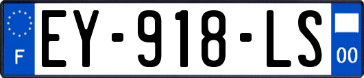 EY-918-LS