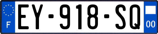 EY-918-SQ