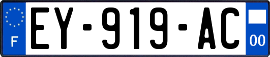 EY-919-AC