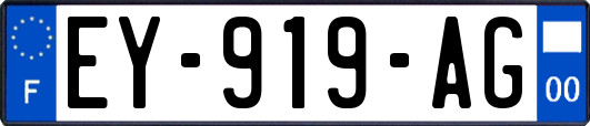 EY-919-AG
