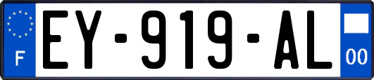 EY-919-AL