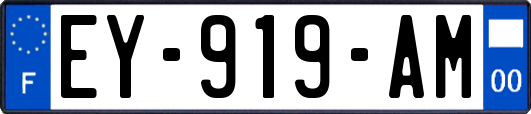 EY-919-AM