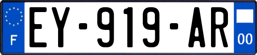 EY-919-AR