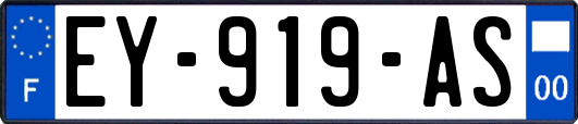 EY-919-AS