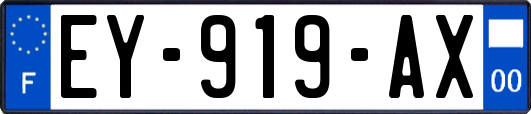 EY-919-AX