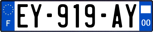 EY-919-AY