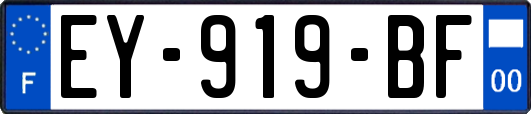 EY-919-BF