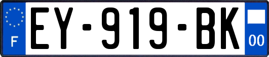 EY-919-BK