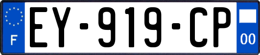 EY-919-CP