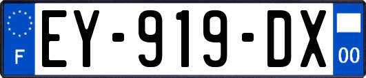 EY-919-DX