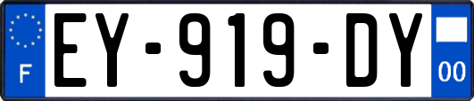 EY-919-DY