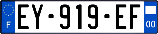EY-919-EF