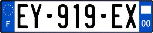 EY-919-EX
