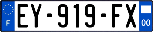 EY-919-FX