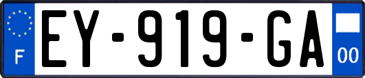 EY-919-GA