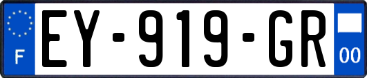 EY-919-GR