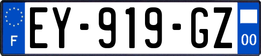 EY-919-GZ