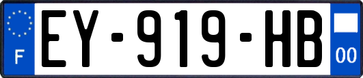 EY-919-HB