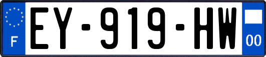 EY-919-HW