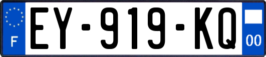 EY-919-KQ