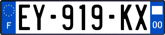 EY-919-KX