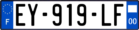 EY-919-LF