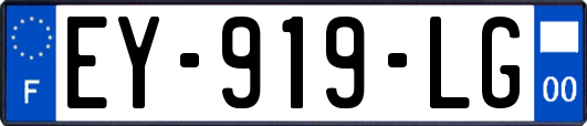 EY-919-LG