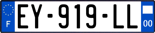 EY-919-LL