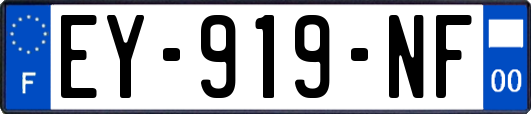 EY-919-NF