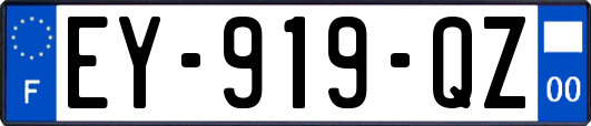 EY-919-QZ