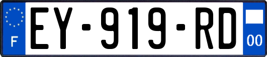 EY-919-RD