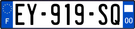 EY-919-SQ