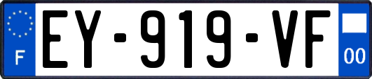 EY-919-VF
