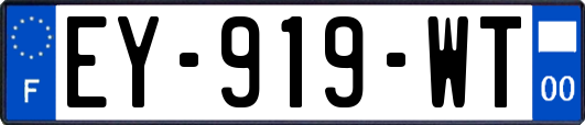 EY-919-WT