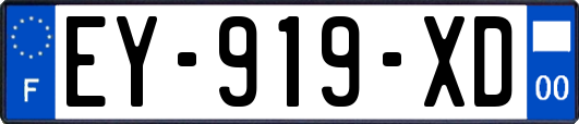 EY-919-XD
