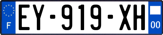 EY-919-XH