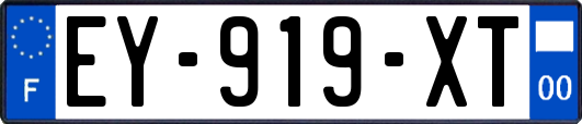 EY-919-XT