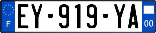 EY-919-YA