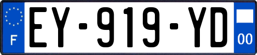 EY-919-YD