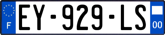 EY-929-LS