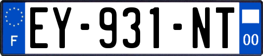 EY-931-NT